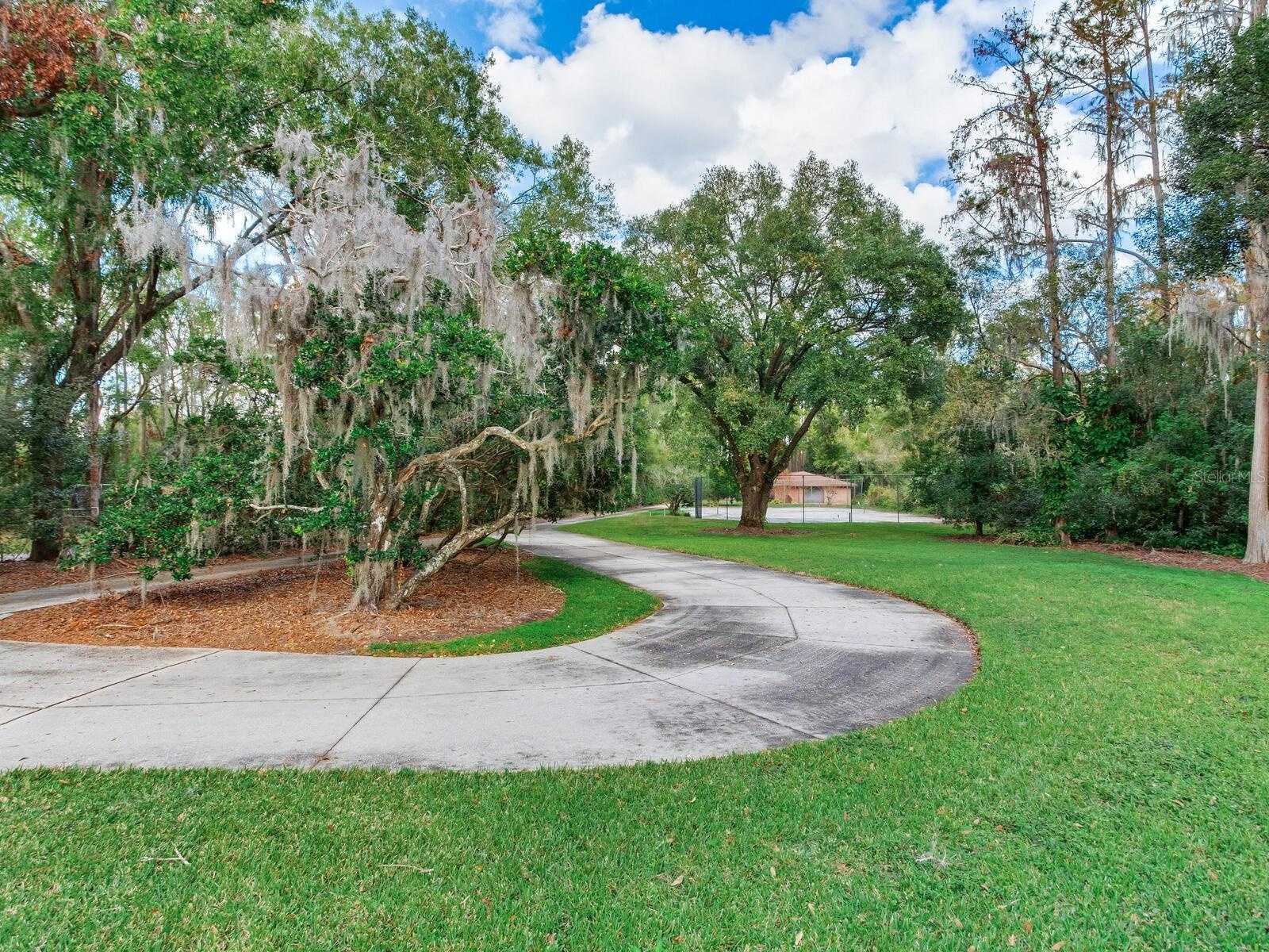 Front-yard