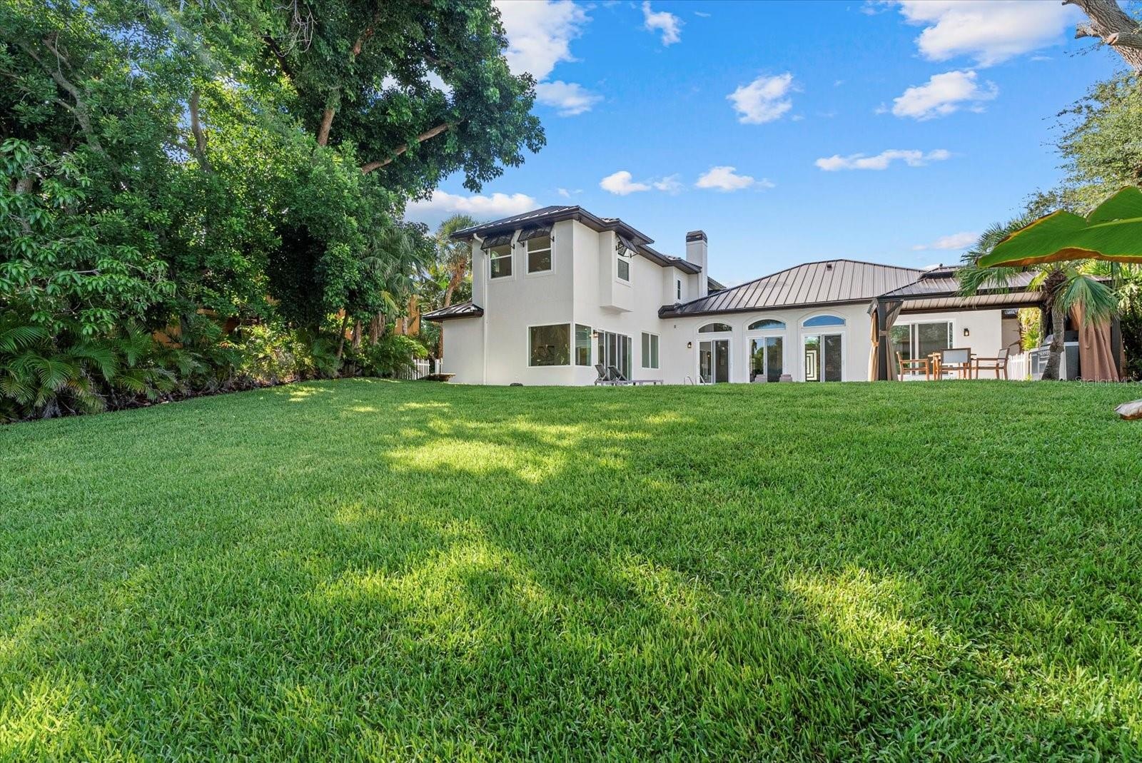 Backyard