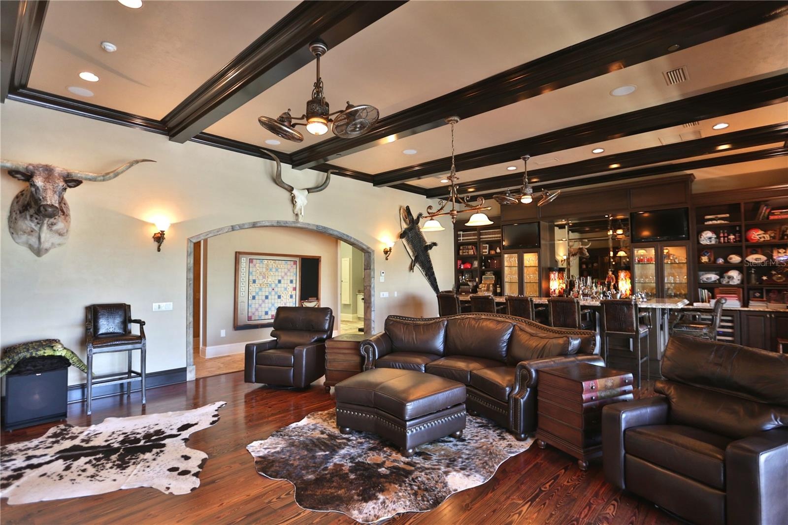 Entertainment room