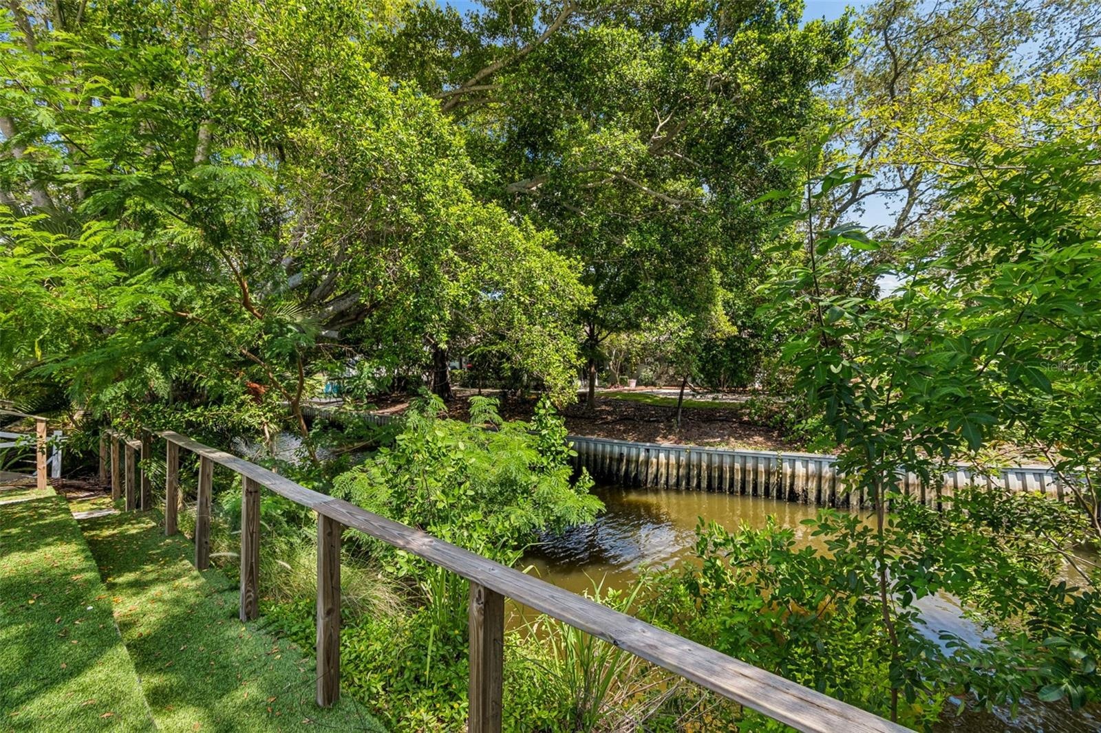 McKay Creek - backyard
