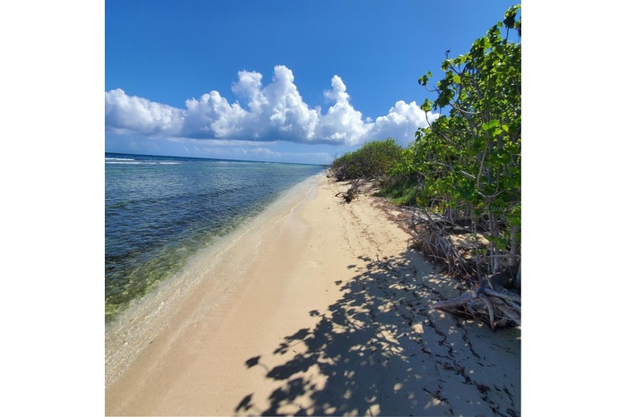 Beach Access