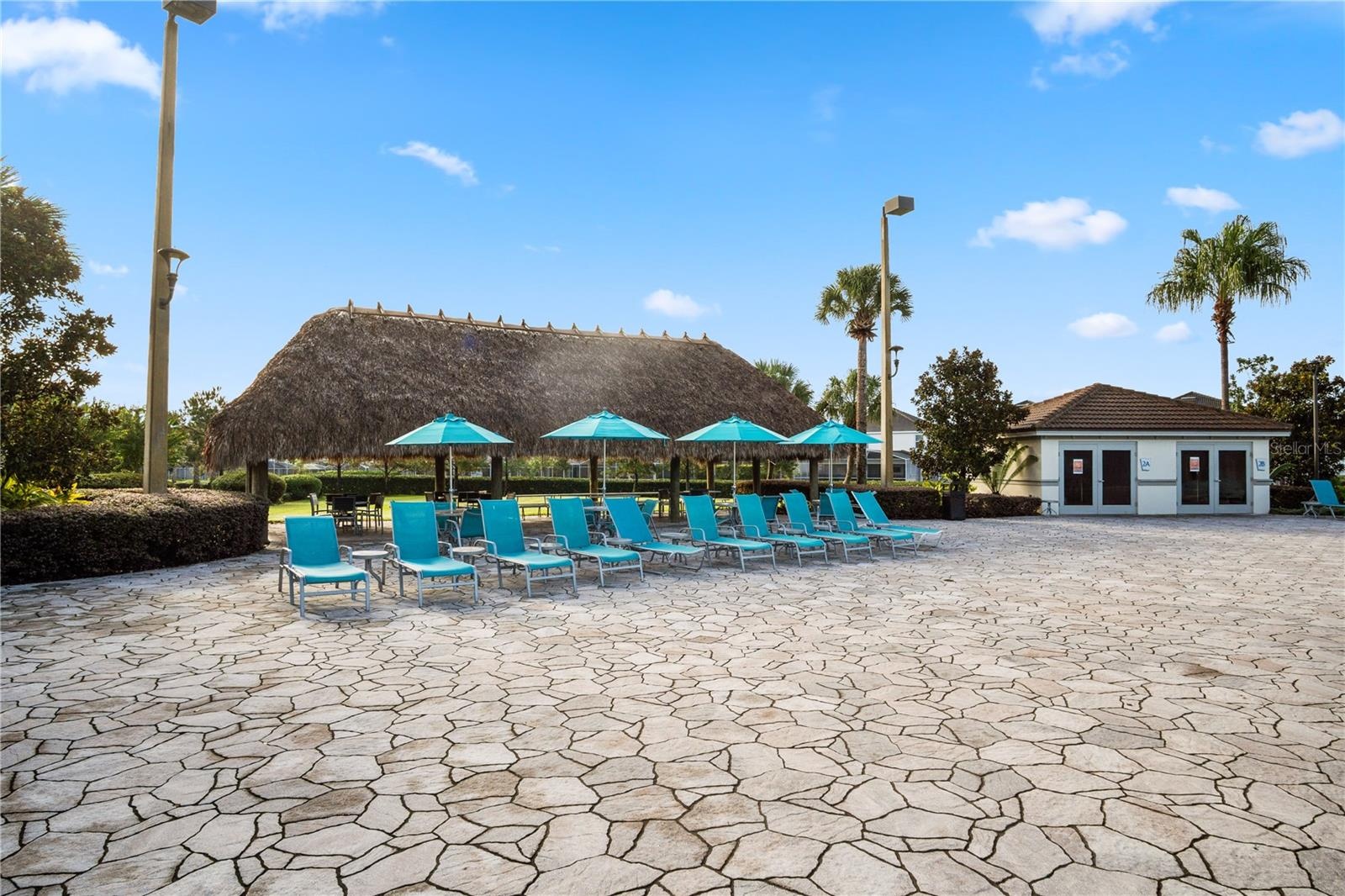 Oasis Club Resort Style Pool