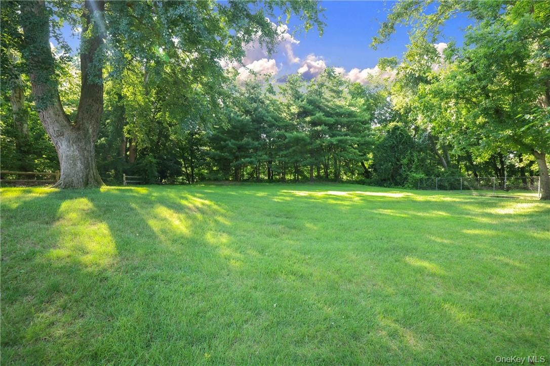 Another view of the backyard