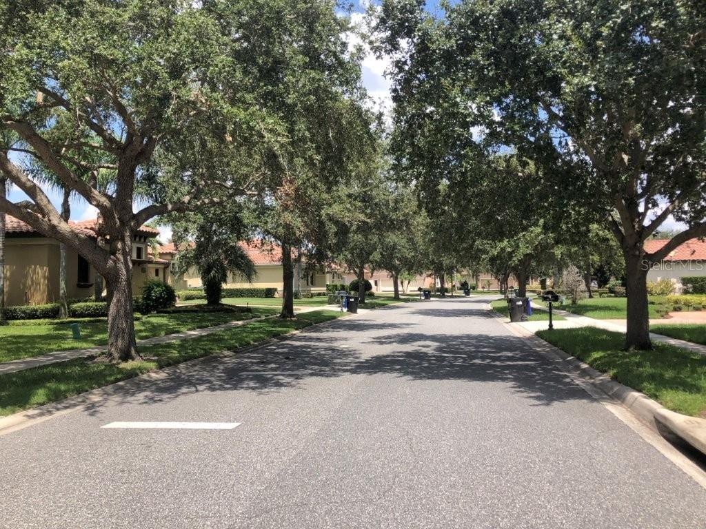 Street/neighborhood