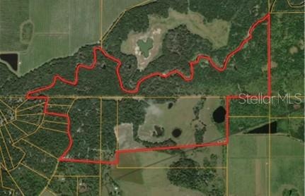 370 Acre Commercial Hunting, 2 miles on Charlie Creek