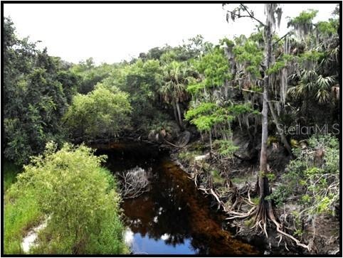 Charlie Creek and woods