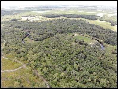 Charlie Creek and woods