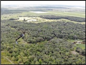 Charlie Creek and woods