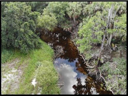 Charlie Creek and woods