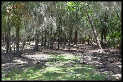 Hunting Stand
