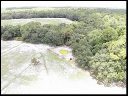 Open Space Savannah