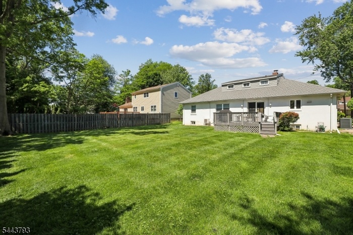Back Yard View