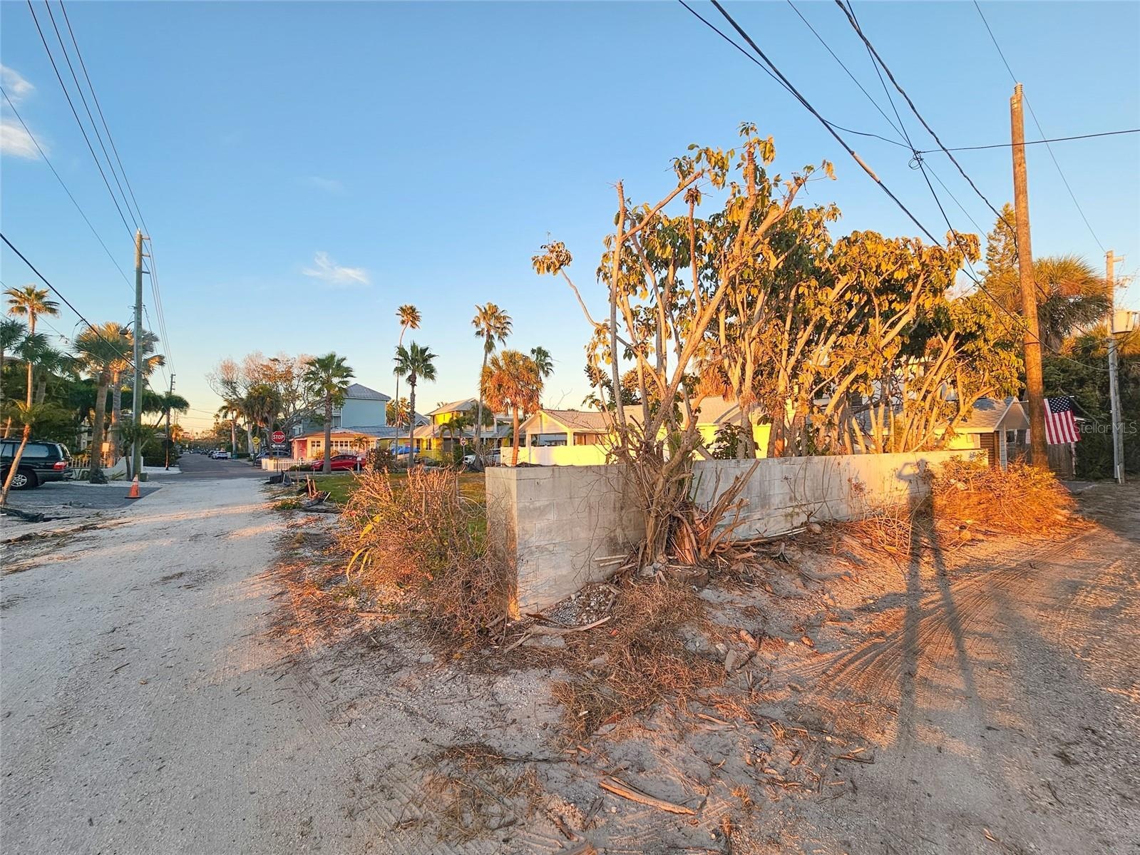 View From Alley.