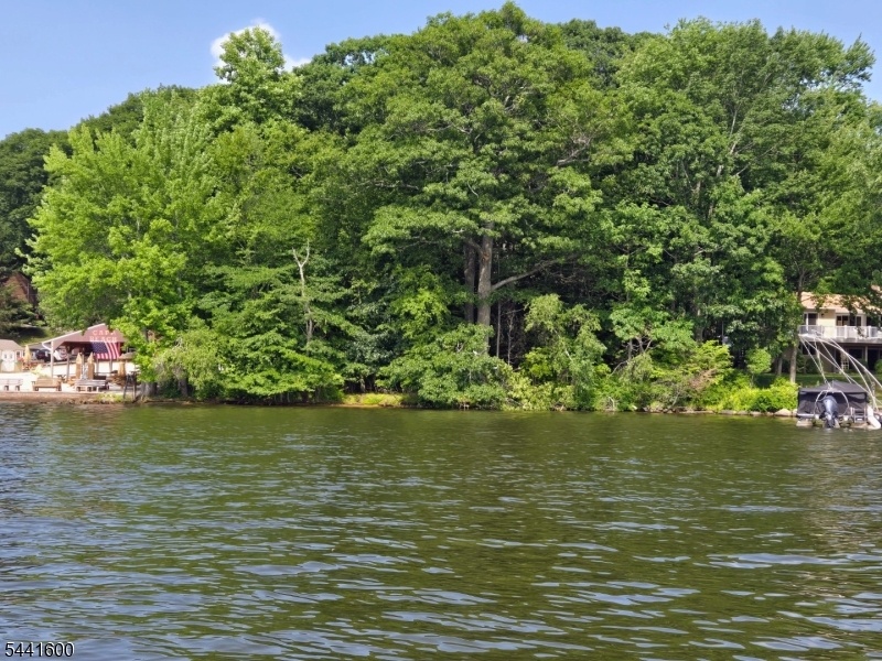 Wooded Lakefront