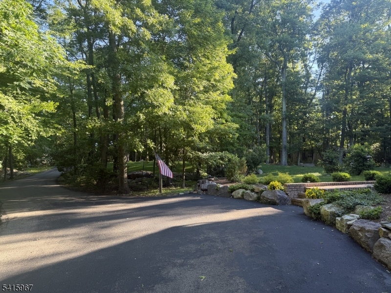 Spacious Front Yard