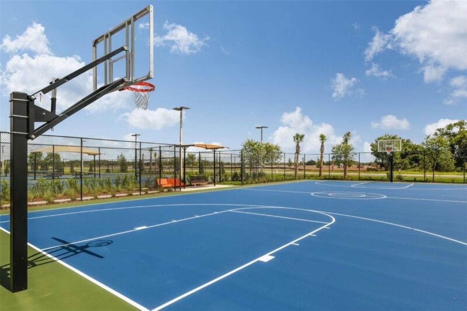 Basketball Court