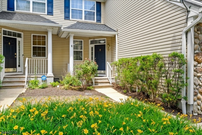 55 Scarlet Oak
