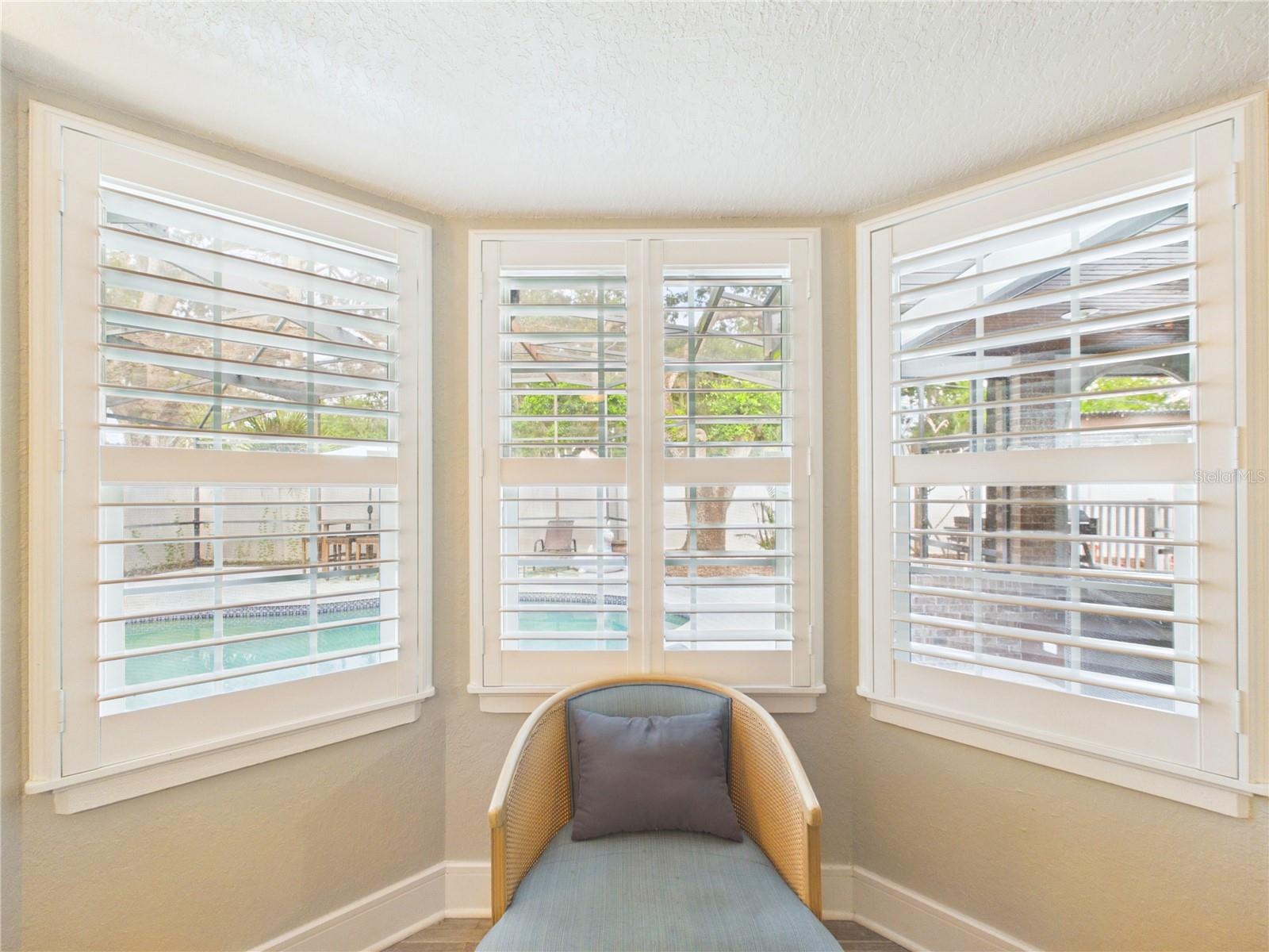 Primary Bedroom Bay window
