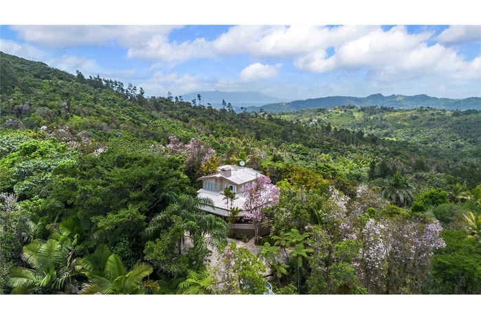 Guavate Mountain Retreat