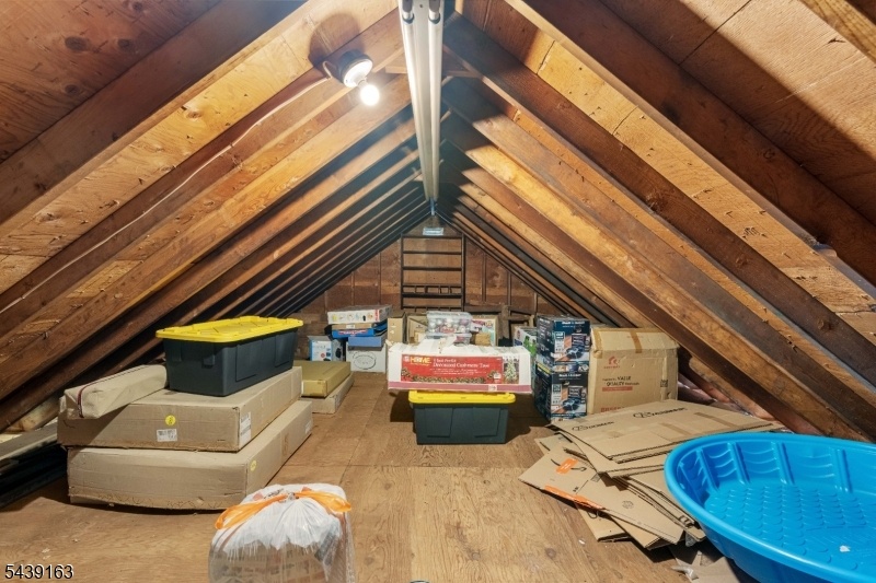 Attic in Garage