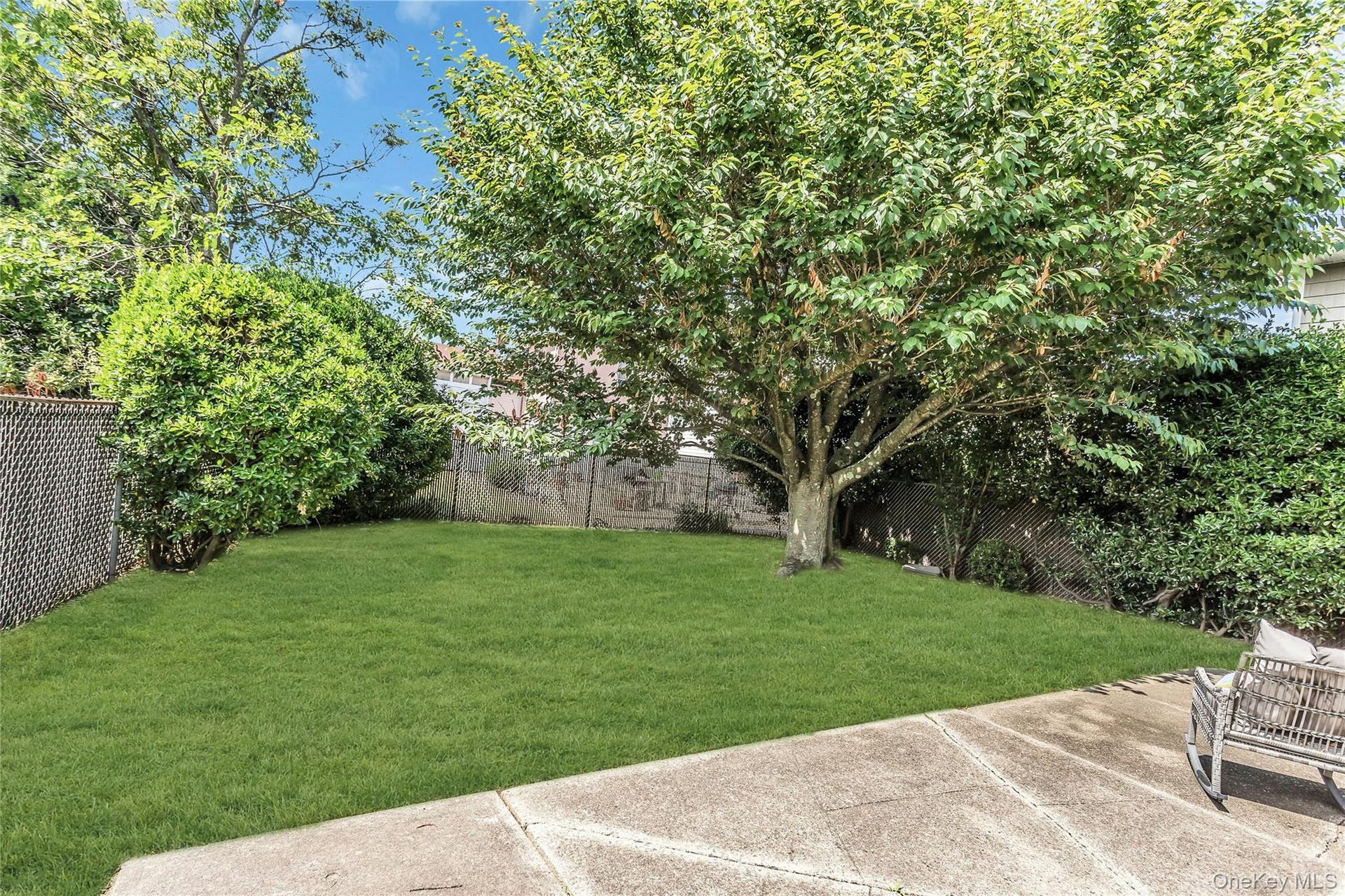 Back Yard
