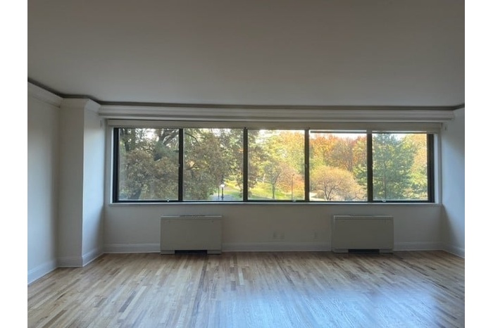 Central Park View