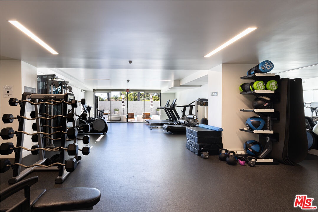 Building Gym