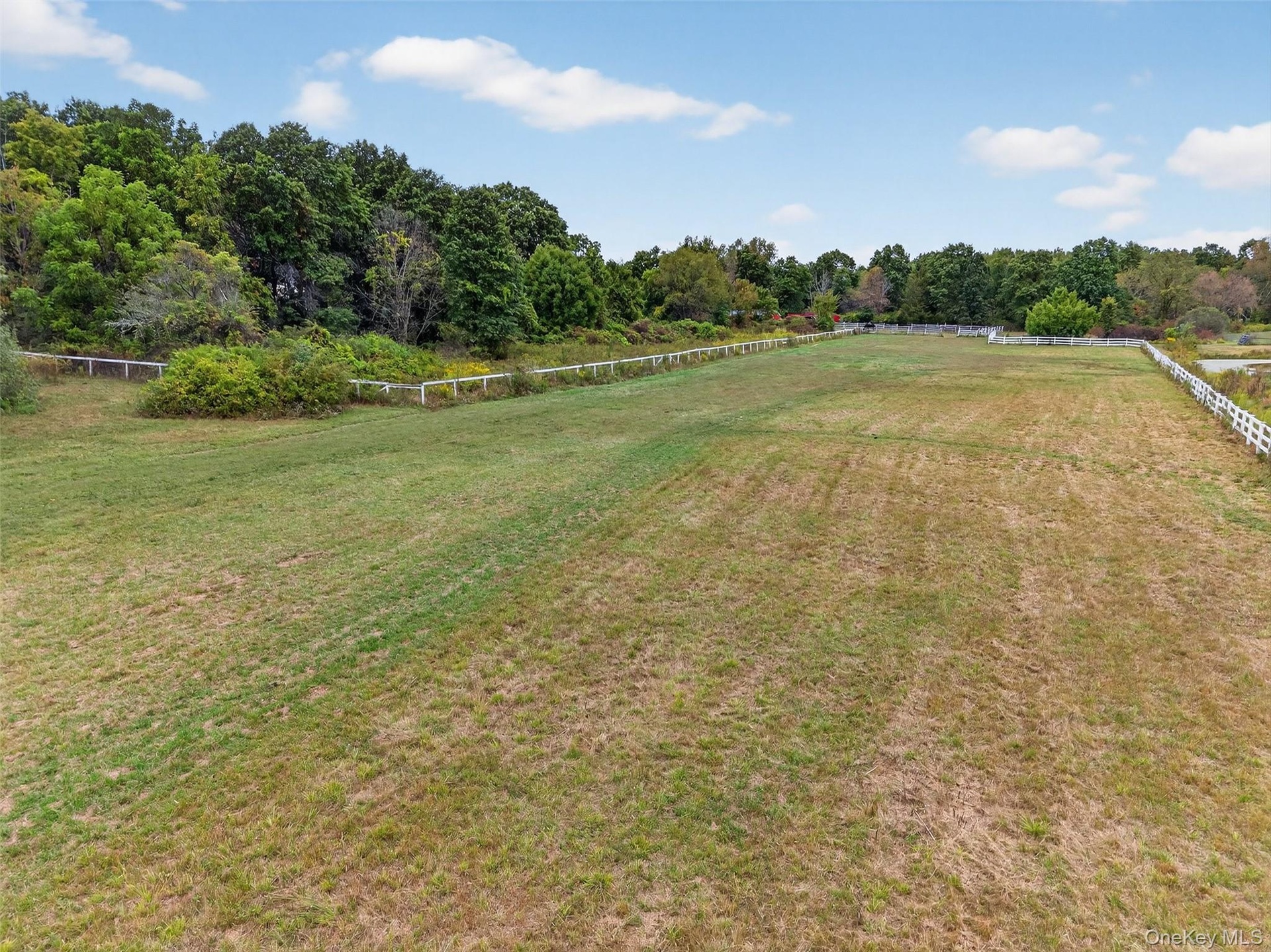 Tons of turnout for your horses, goats, sheep, or cows. Or just enjoy the space yourself!