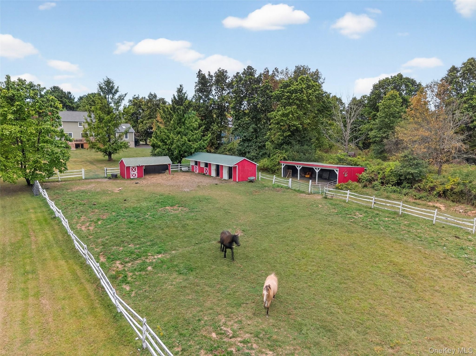 Paddock with 4 shed row stalls and a run in shed with tack room. There is electric and water.