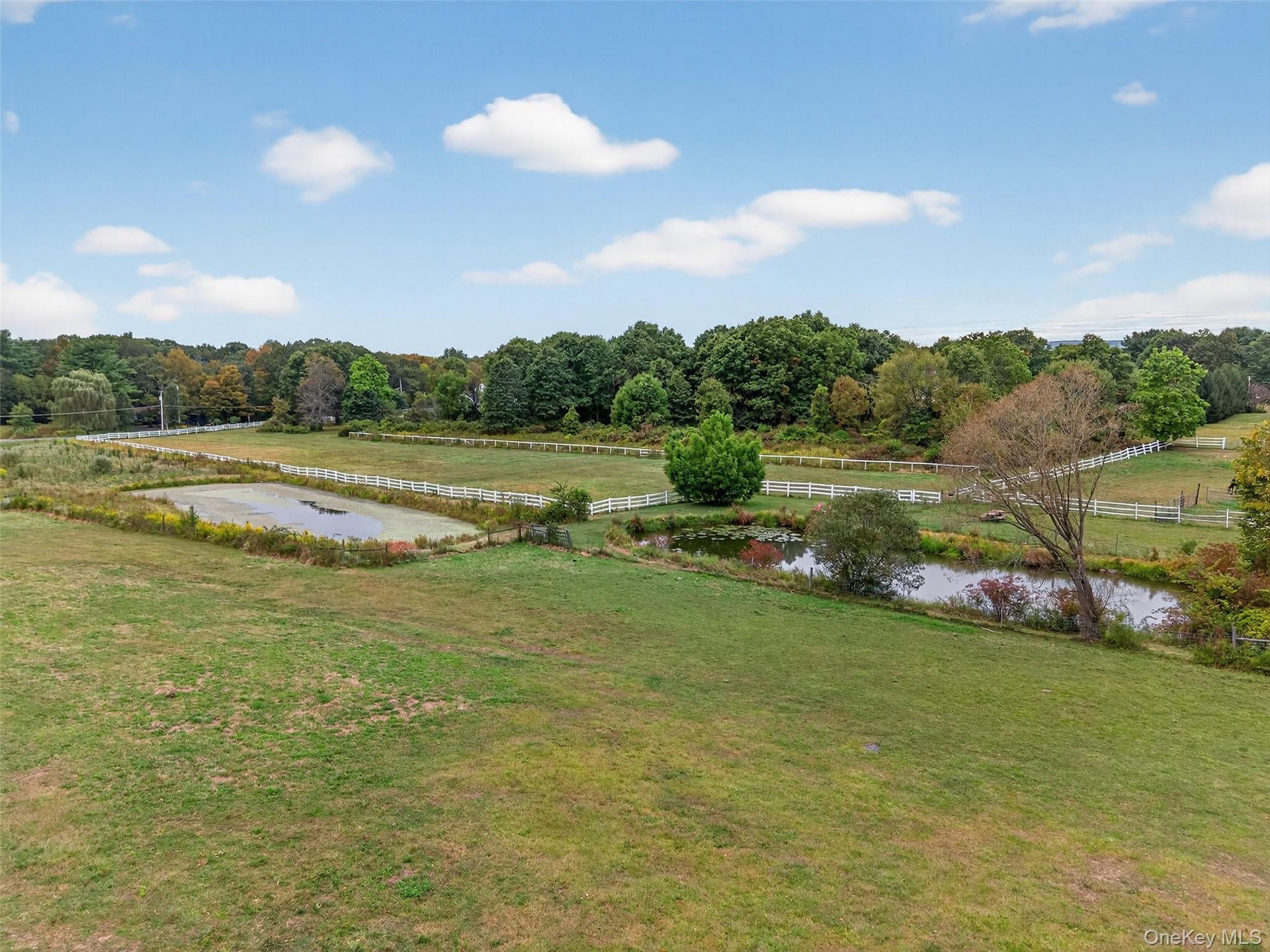 two stocked ponds