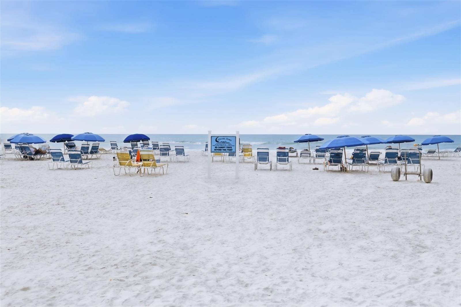 Chairs and Umbrellas for Owners and Guests