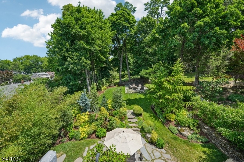 Arial Shot of Backyard