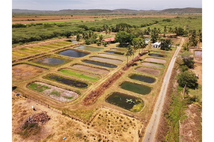 SR 117 km 9.9 interior , 7.81 Acres with Residential Unit and other Structures For Sale