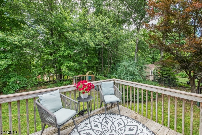 Back Deck