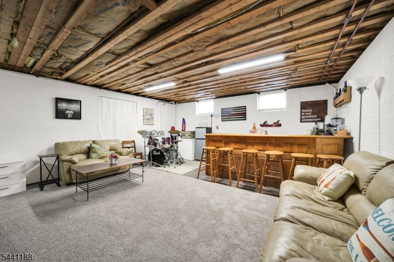 Basement w Bar