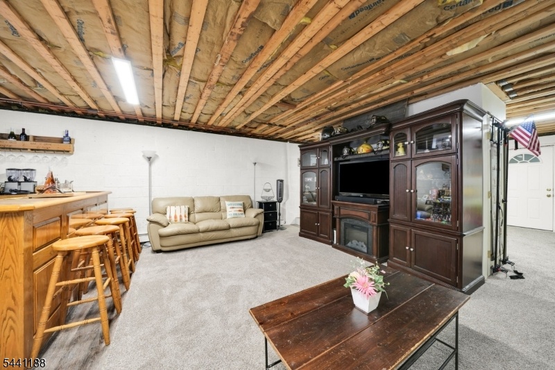 Basement w Bar
