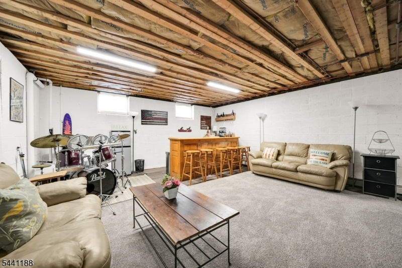 Basement w Bar