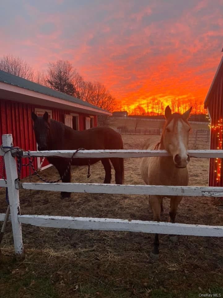 Stunning sunrises