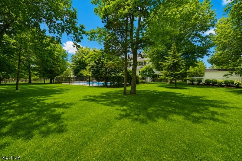 lawn