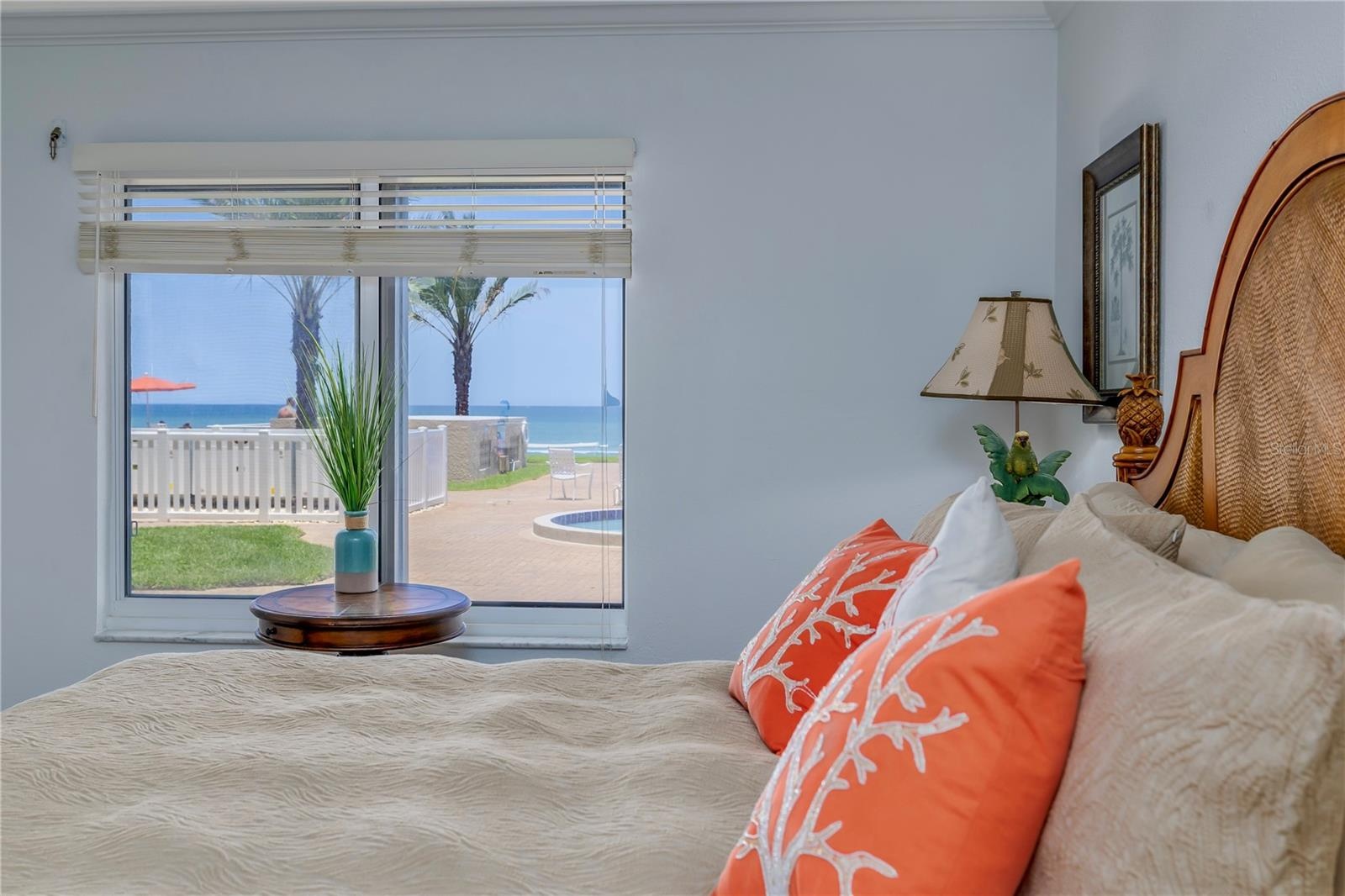 Primary View
