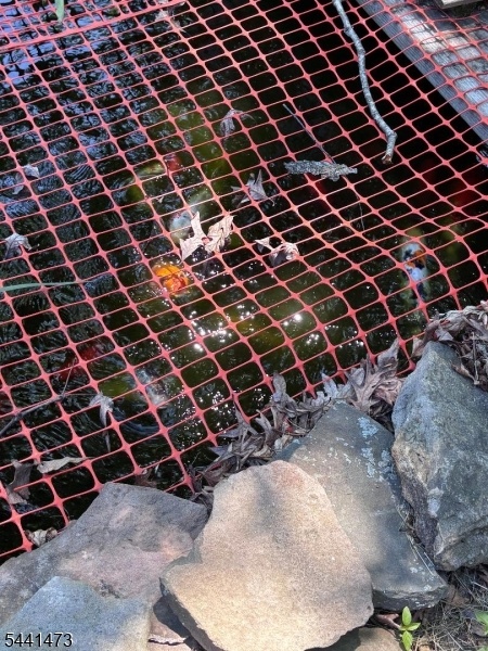 pond