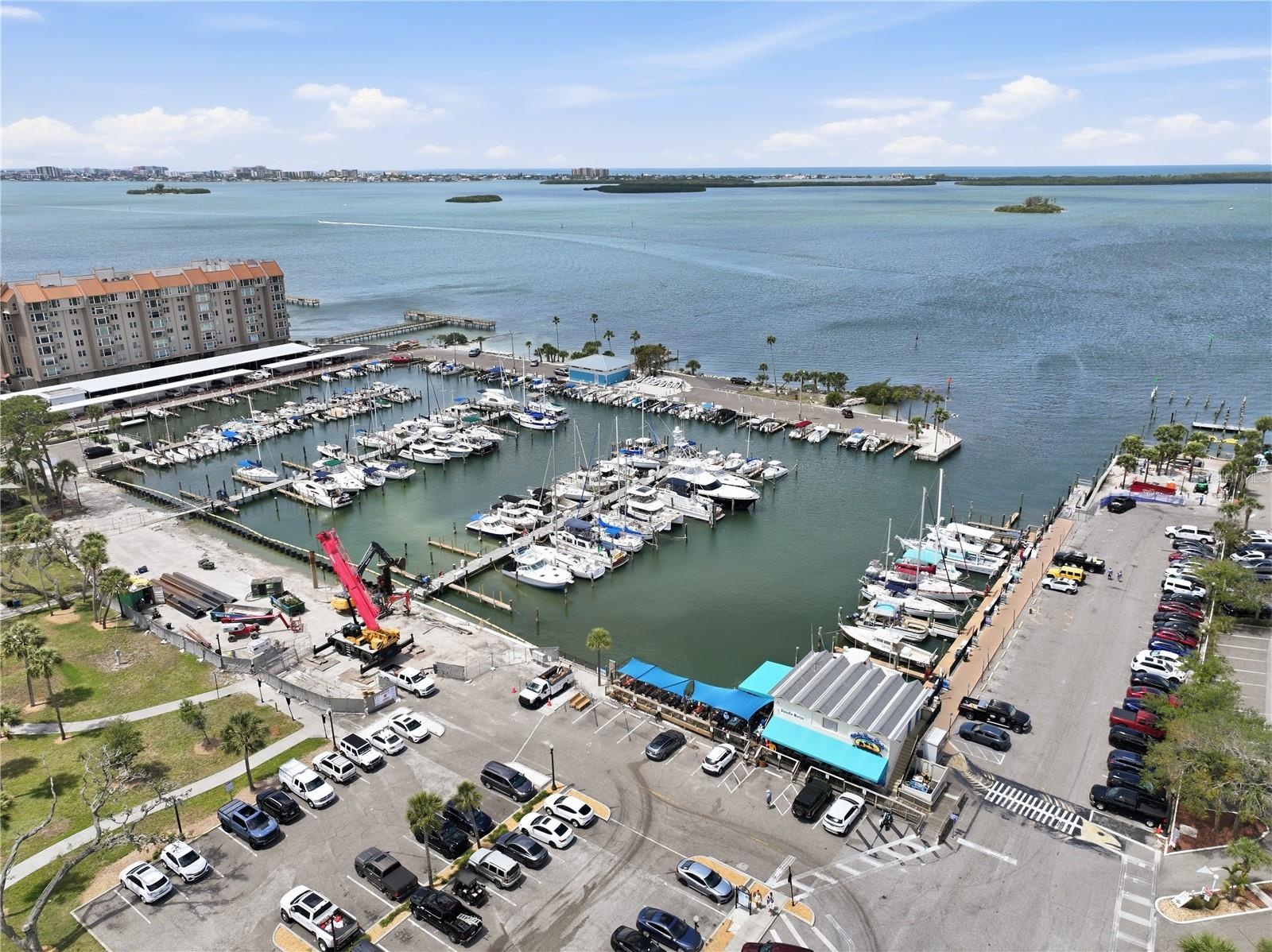 The Marina in Downtown Dunedin