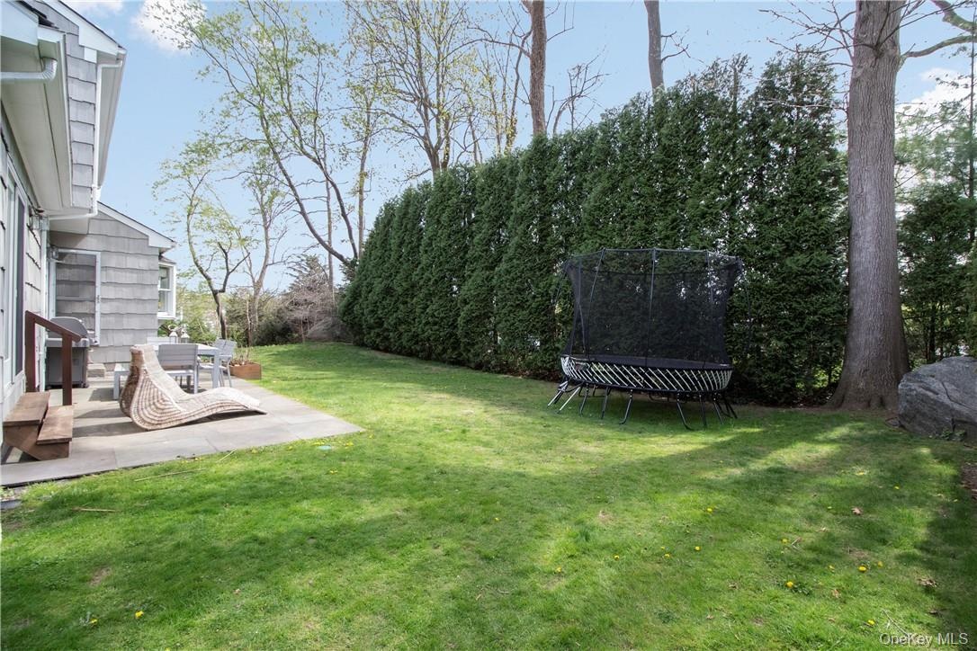 Backyard view