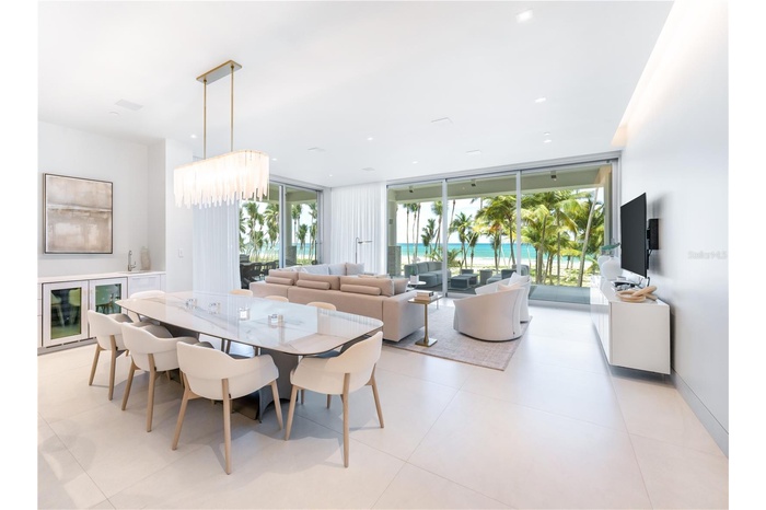 Dining & Living Room