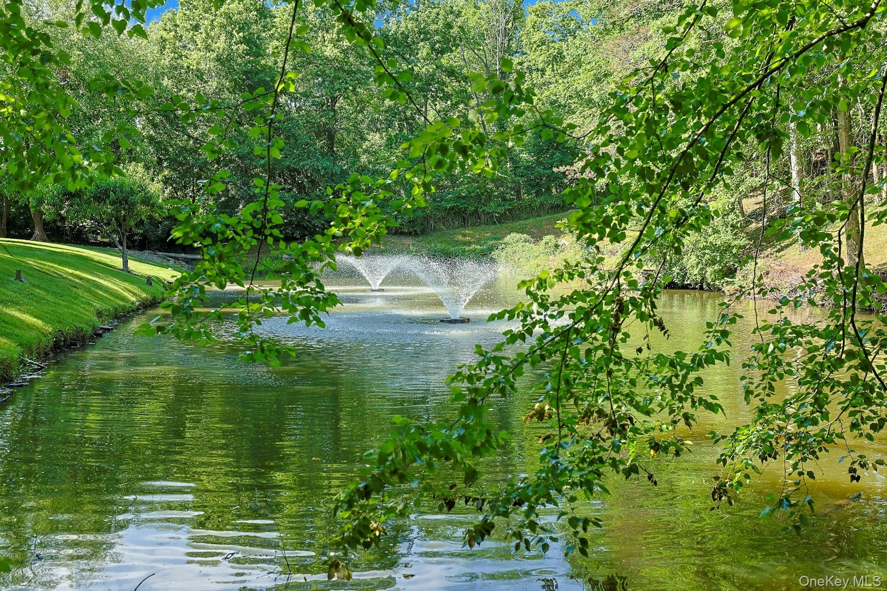 The extraordinary koi pond, home to hundreds of koi and turtles, serves as a breathtaking focal point of the estate.