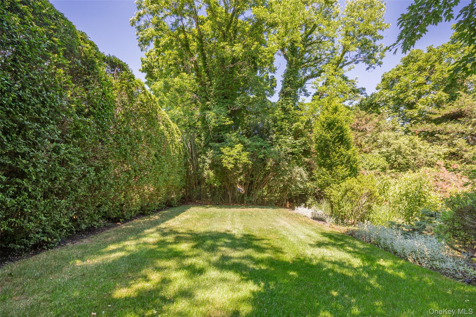 Expansive lawn area featuring a lush green surface and mature perimeter landscaping