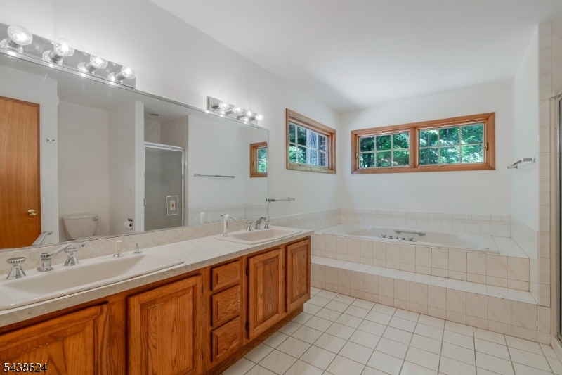 Primary Bath - shower, jacuzzi