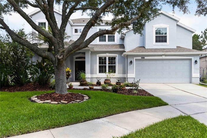 Welcome home!