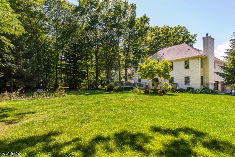 Spacious Yard