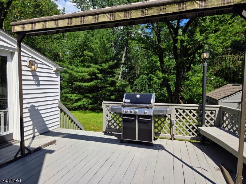 Deck with Grill and Canopy